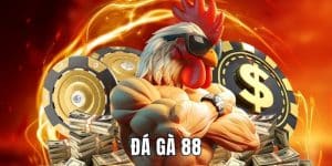 Đá gà 88